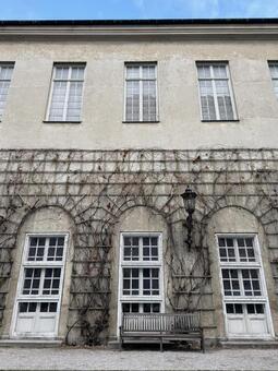 ヨーロッパの建物 ヨーロッパ,石畳,道の写真素材