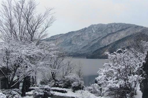 雪の芦ノ湖 雪の芦ノ湖の写真