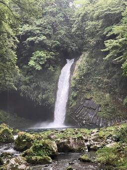 浄蓮の滝 浄蓮の滝 滝,水,流れの写真素材
