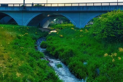岩手県盛岡市中央公園と杜の大橋 岩手県,盛岡市,杜の大橋の写真素材