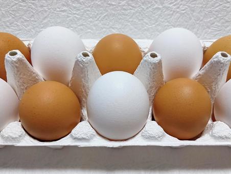 赤白たまご 赤白たまご 卵,たまご,生卵の写真素材