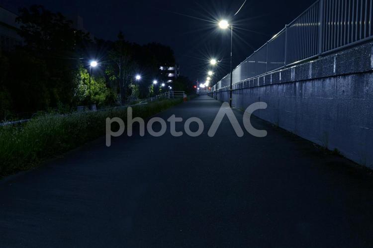 夜道　堤防のコンクリート壁と歩道と外灯 夜道,堤防,コンクリートの写真素材