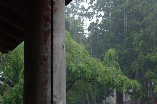 大雨のイメージ写真 大雨のイメージ写真 大雨,豪雨,梅雨の写真素材
