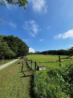 牧場の絶景② 牧場の絶景②の写真