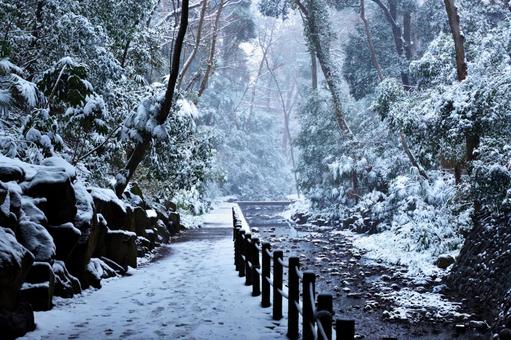 積雪の等々力渓谷① 積雪の等々力渓谷①の写真