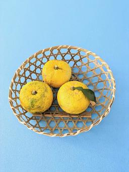 竹ざるに柚子3個 竹ざるに柚子3個 作物,植物,食品の写真素材