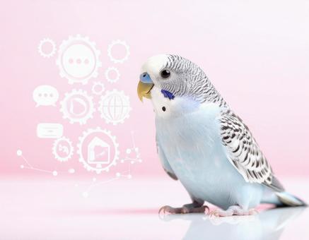 鳥が考える 鳥が考えるの写真