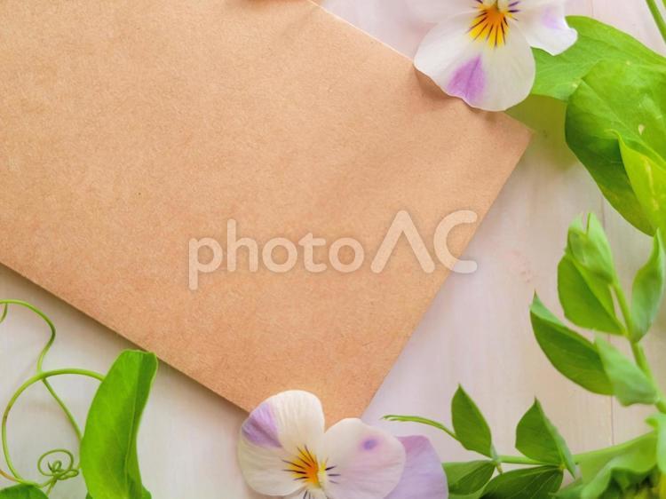 ビオラの花とメッセージカード 春,花,ビオラの写真素材