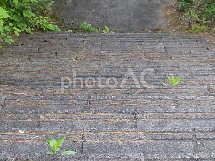趣のある 石の階段 石,階段,景色の写真素材