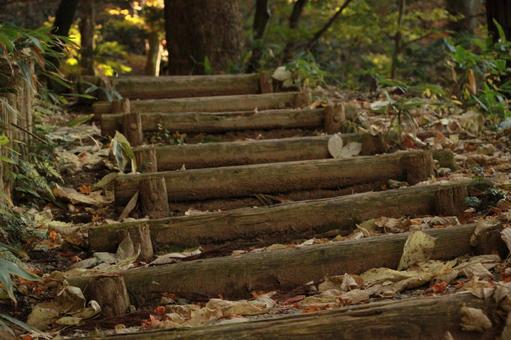 山道の階段 山道の階段の写真