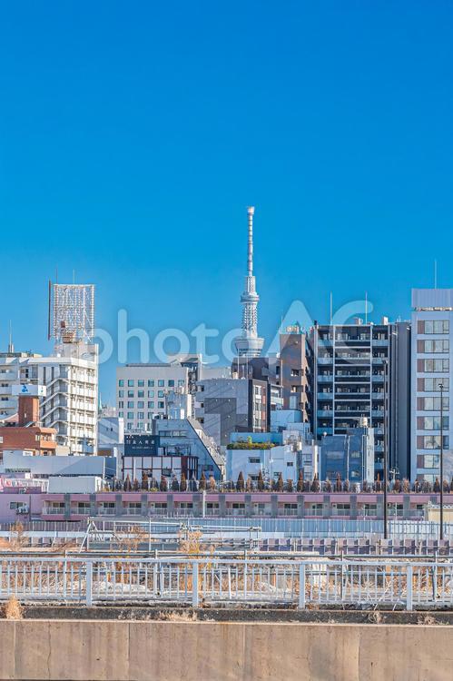 東京　浜離宮恩賜庭園の風景 東京,東京都,浜離宮恩賜庭園の写真素材