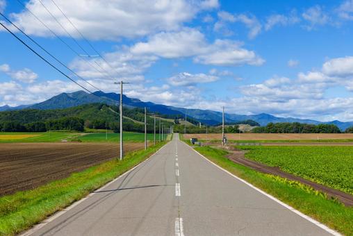 青空と一本道 青空と一本道の写真