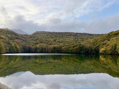 秋の美しい蔦沼の写真