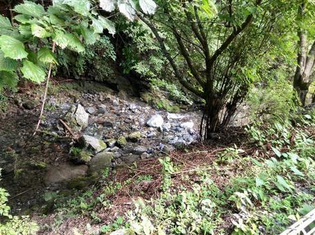 小川 小川の写真