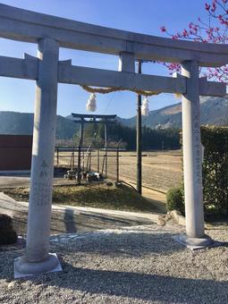 産田社から見える大斎原の大鳥居 産田社から見える大斎原の大鳥居 産田社,熊野本宮大社,末社の写真素材