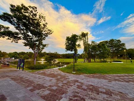 夕暮れの美しい多摩中央公園 夕暮れの美しい多摩中央公園の写真