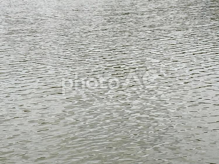 風の強い日の水面 素材,テクスチャー,水面の写真素材