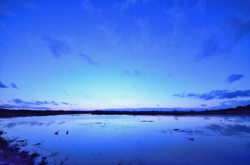 Photo, blue moment, blue, strong green, 