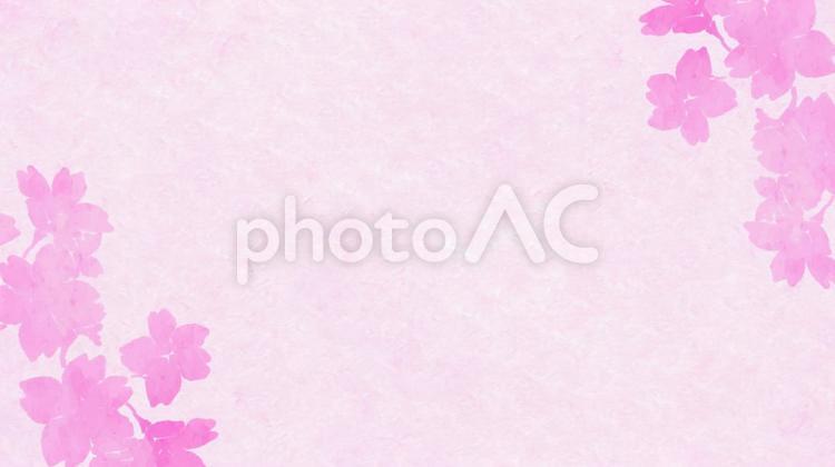 やさしいピンクの背景素材と桜モチーフ 和紙,桜,テクスチャの写真素材
