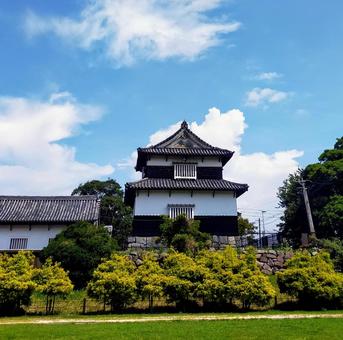 公園 公園 福岡,夏,公園の写真素材