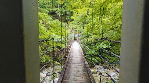 Suspension bridge over Shiokara Valley, JPG