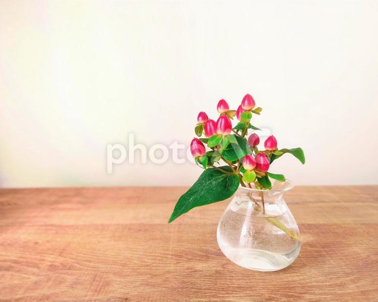 小さな花瓶に挿したピペリカム③ 花,テーブル,赤の写真素材
