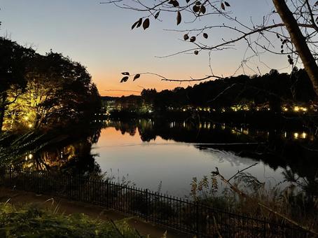夕暮れ時 夕暮れ時の写真