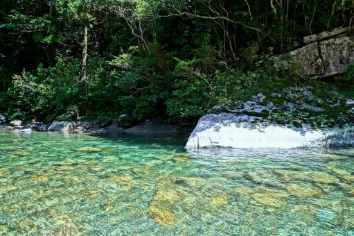 透明なる銚子川 三重,三重県,紀北町の写真素材