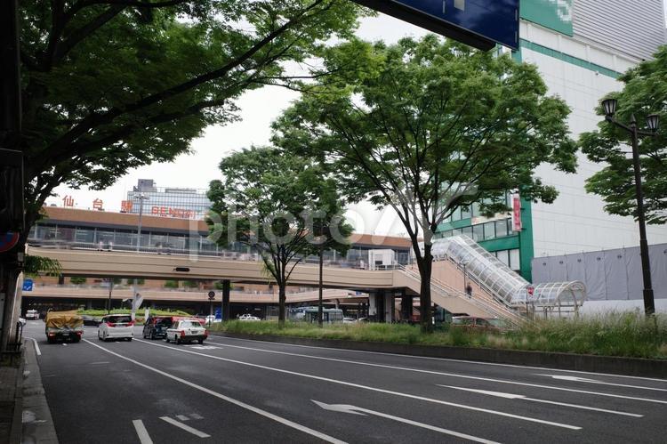仙台駅西口を青葉通りから見た風景 仙台駅,西口,仙台駅西口の写真素材