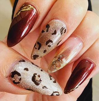 ネイル ハンドネイル,爪,豹柄の写真素材