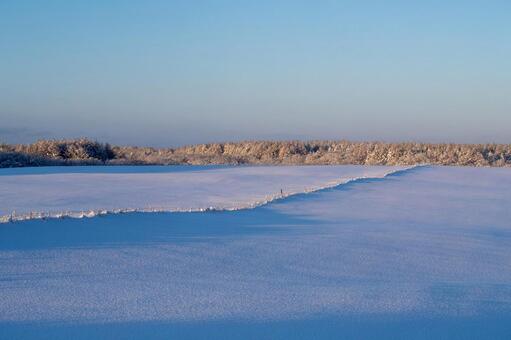 霧氷が雪原を二分するシャープな稜線 冬,雪原,雪の写真素材