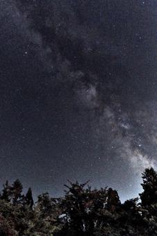森の夜空2 森の夜空2 星空,天の川,銀河の写真素材