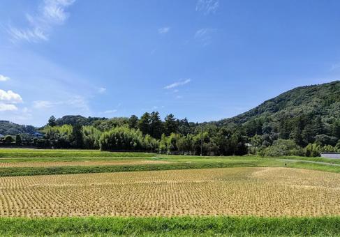 千葉県南部 8月の田園風景 千葉県南部 8月の田園風景の写真