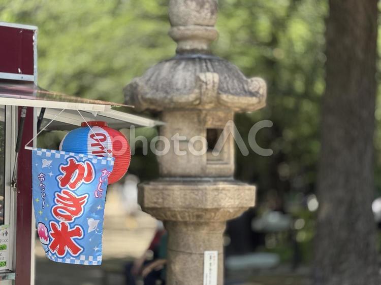風に揺れるかき氷の旗 かき氷,旗,看板の写真素材