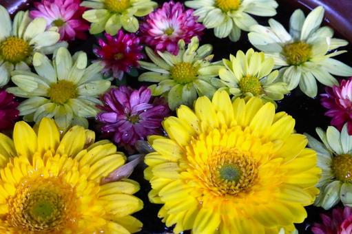 多数の花々 多数の花々の写真