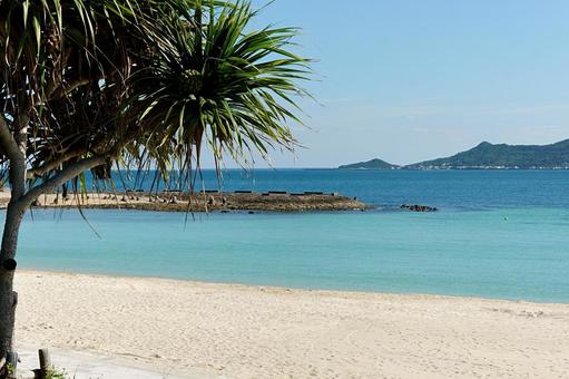 南国の特等席 沖縄,11月,西原キラキラビーチの写真素材