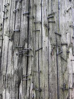 古い電柱に残るホッチキスの跡@NY 古い木,テクスチャ,経年劣化の写真素材