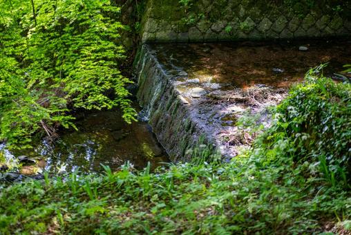 新緑と石垣の渓流 自然,風景,緑の写真素材