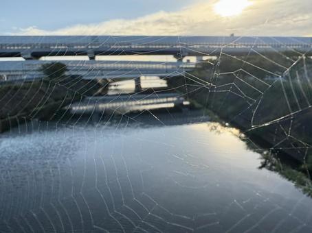 蜘蛛の巣越しの川の写真