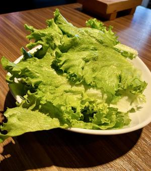 レタス レタスの写真