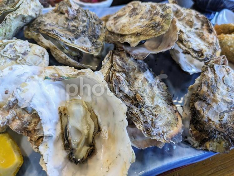 鳥羽市浦村の焼き牡蠣３ 焼き牡蠣,牡蠣,カキの写真素材