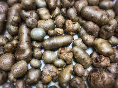 むかご(山芋の赤ちゃん) むかご,ムカゴ,秋の写真素材