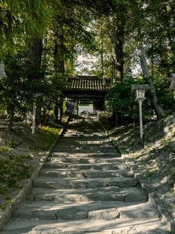 和気神社 和気神社 和気神社,神社,お参りの写真素材