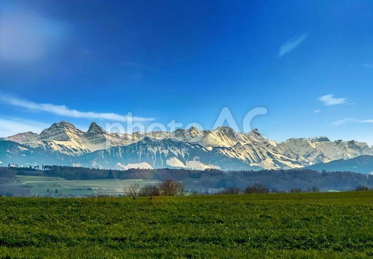 スイス アルプスと草原の風景 アルプス,スイス,山の写真素材