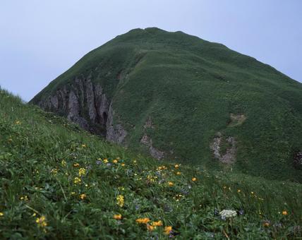 礼文島の桃岩 桃岩,礼文島,花の浮島の写真素材