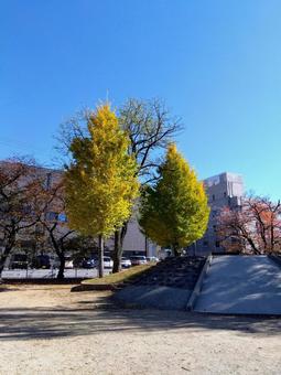 公園 公園の写真