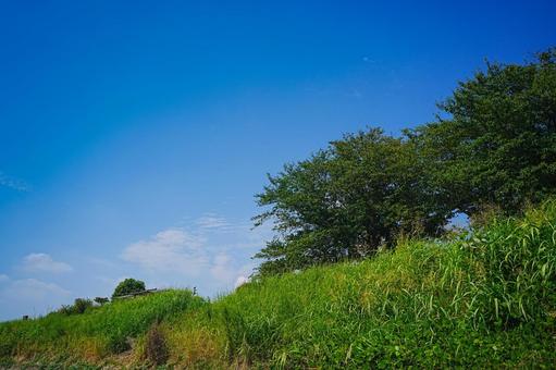 真夏の江戸川土手の青空の写真