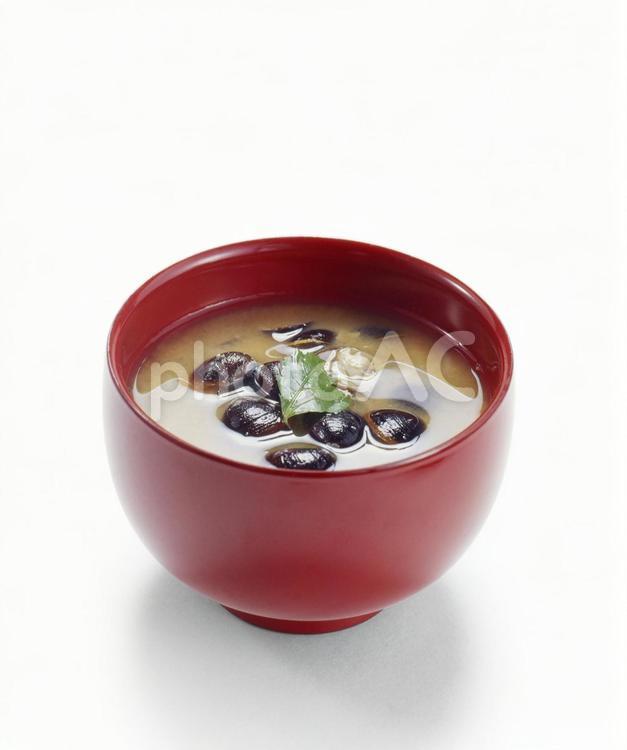 しじみ汁 しじみ汁,みそ汁,しじみの写真素材