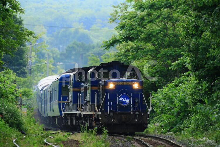 森を行く特急 列車,鉄道,寝台特急の写真素材