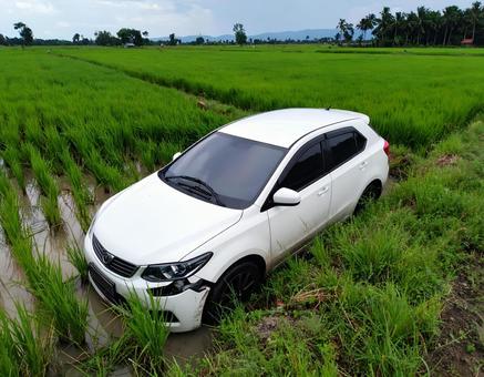 田んぼ 落ちた車 田んぼ 落ちた車の写真